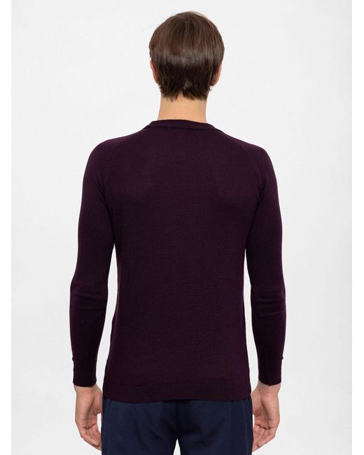 Antioch Crew Neck Pullover in Blue für Herren