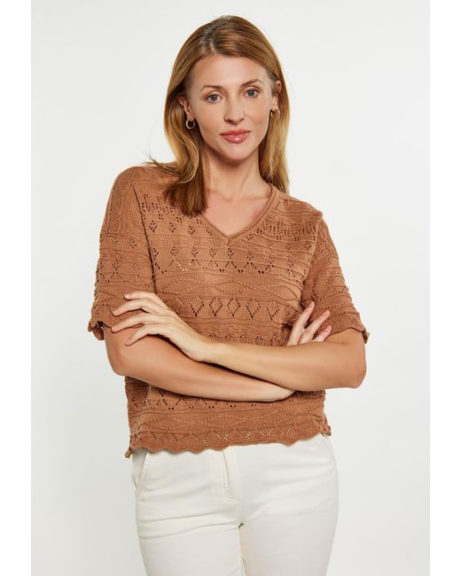 Usha Brown Pullover