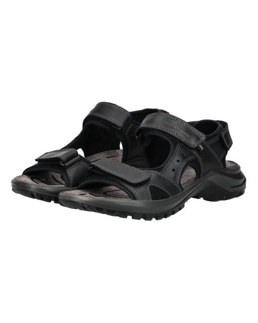 Igi&co Trekkingsandale in Black für Herren