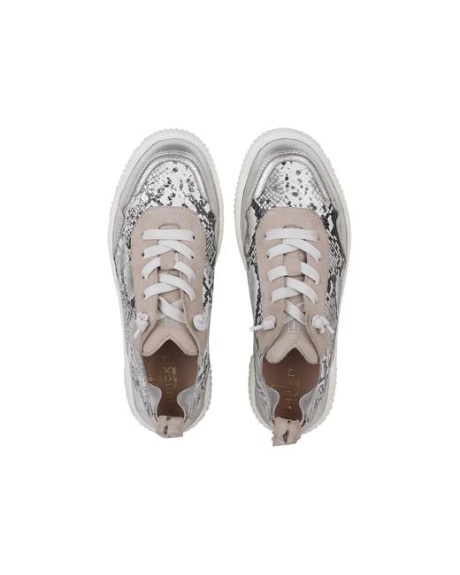 CRICKIT White Sneaker Oakli