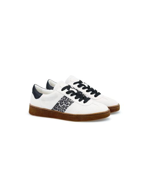 Lloyd White Sneaker Aria
