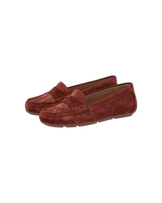 Joop! Brown Mokassin Miri