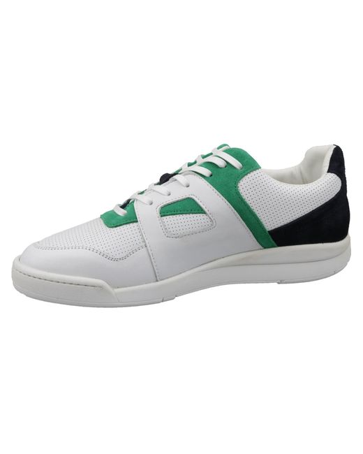 Fila Sneaker Low Cedar Cb Low in Green für Herren