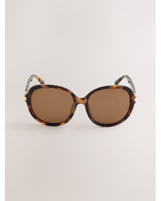 Next Sonnenbrille in Brown für Herren