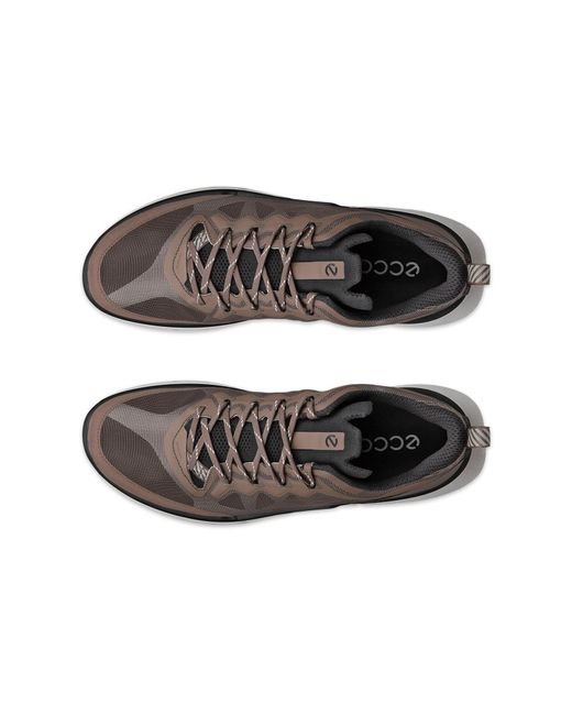 Ecco Sneaker Biom 720 in Brown für Herren