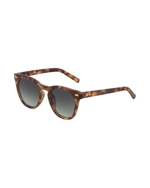 Aire Sonnenbrille Evolution in Multicolor für Herren