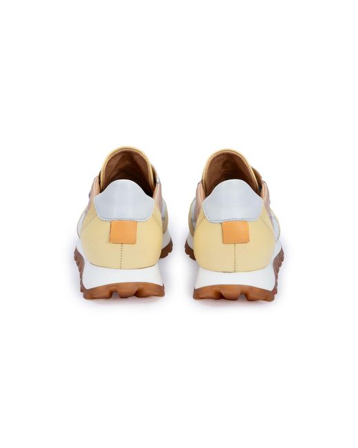 Lloyd White Sneaker