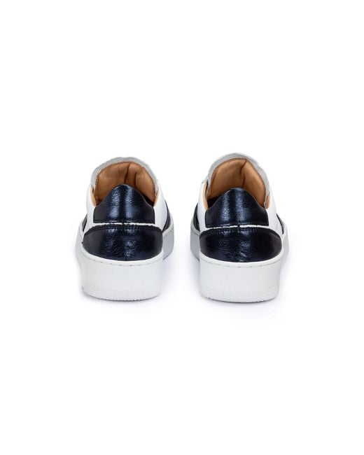 Lloyd Blue Sneaker