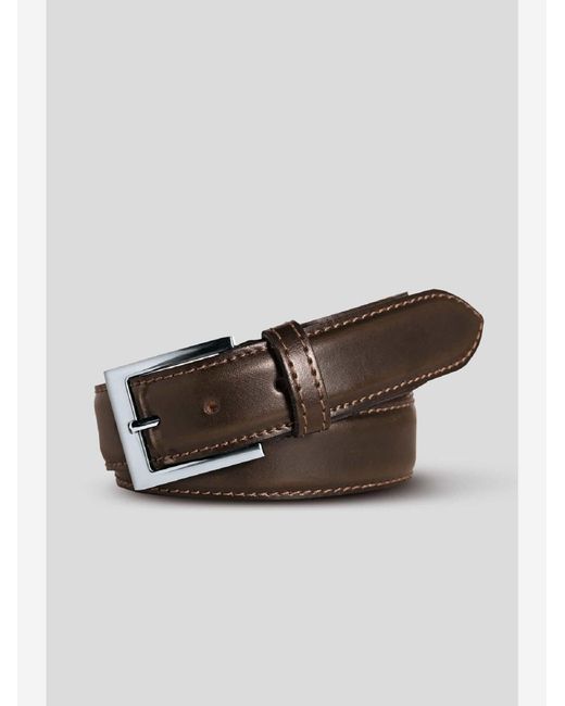 Meyer Gürtel in Brown für Herren