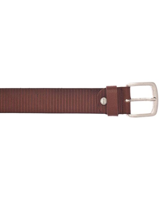 Vanzetti Gürtel in Brown für Herren