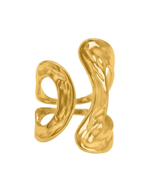 Heideman Metallic Ring Sabin