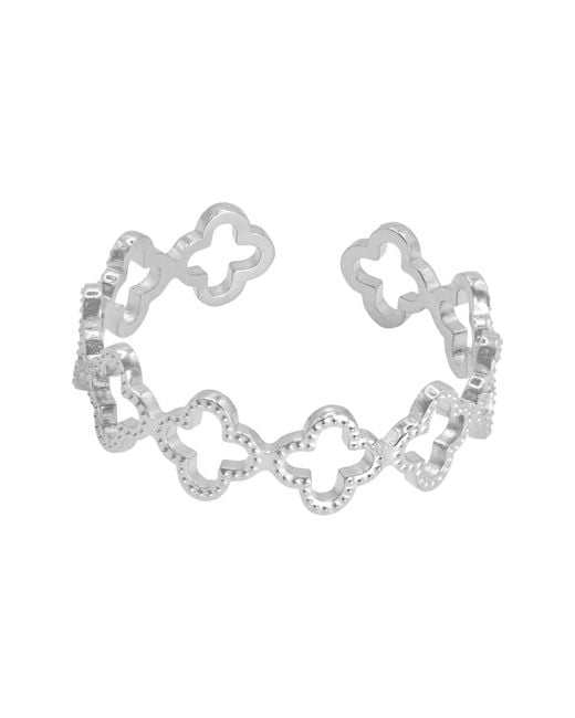 Heideman White Ring Pilus