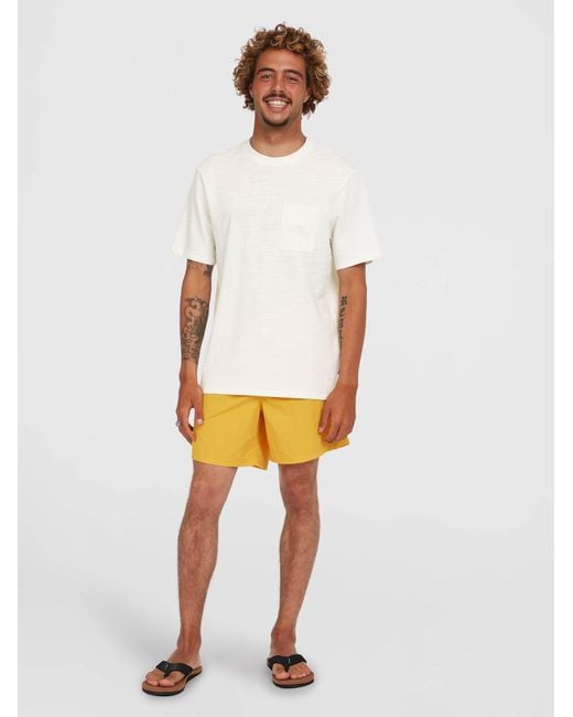 O'neill Sportswear Oneill Badeshorts Vert 16 in Yellow für Herren