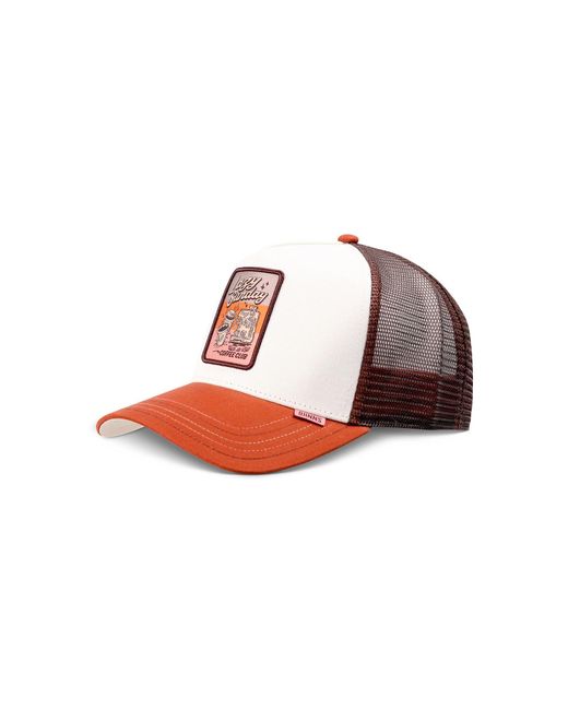 Djinn's Multicolor Cap Hft Lscc