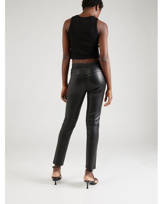 Oakwood Gray Hose Ivana