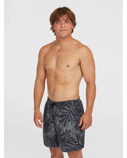 O'neill Sportswear Oneill Badeshorts Cali in Gray für Herren