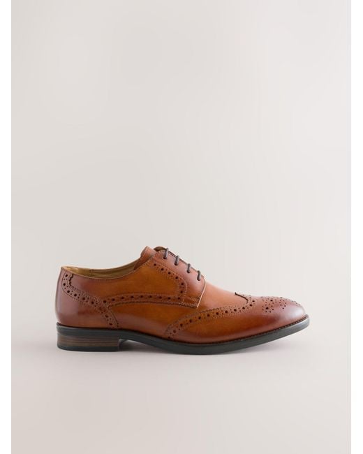 Next Schnürschuh in Brown für Herren