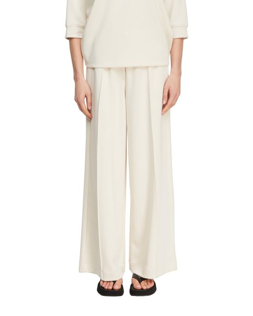 Comma, White Hose