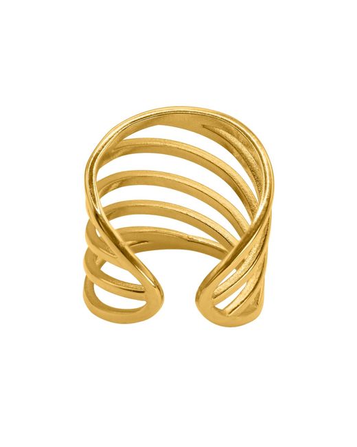 Heideman Metallic Ring Nigid