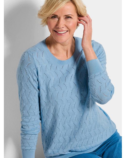 Goldner Blue Pullover