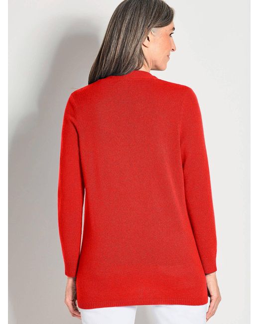 Goldner Red Pullover