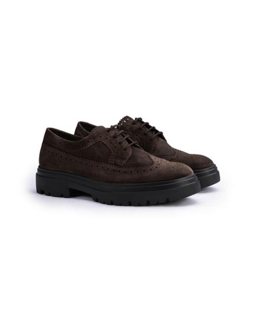 Lloyd Black Budapester Azure