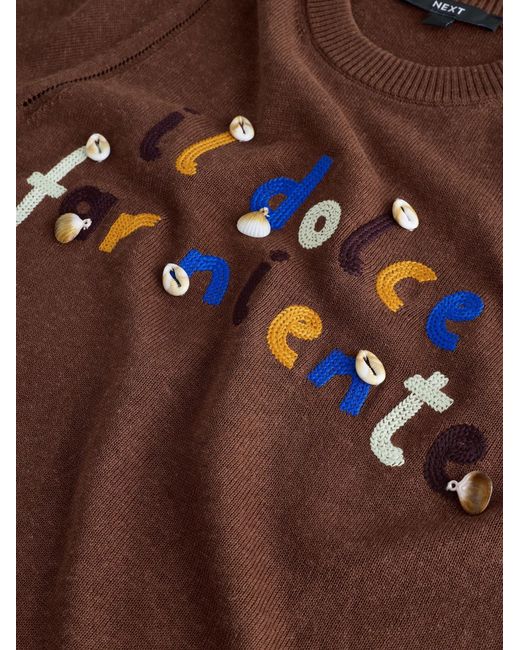 Next Brown Pullover