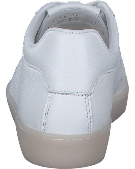 Högl Gray Sneaker '910031'