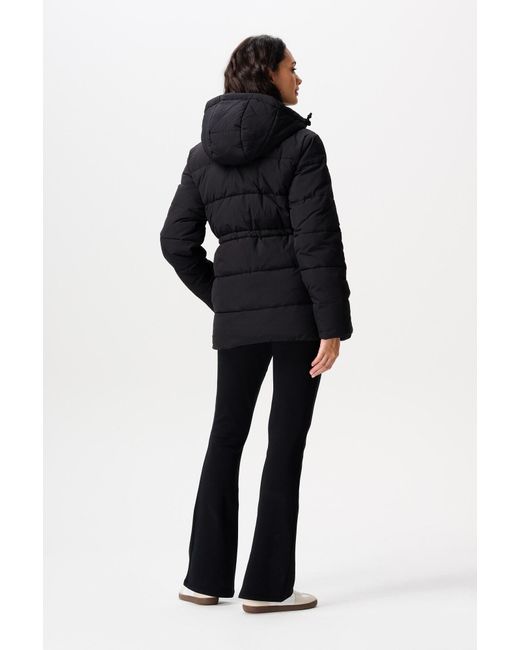 Noppies Black Winterjacke 'Vardo'
