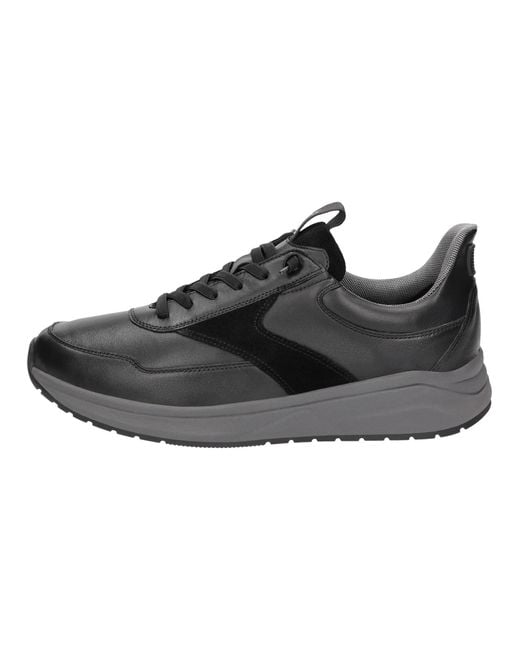 Sioux Sneaker in Black für Herren
