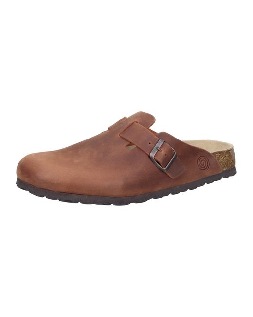 Dr. Brinkmann Clogs Nerpio in Brown für Herren