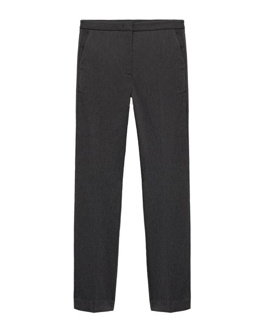 Mango Black Hose 'Cola'