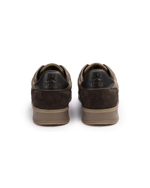 Lloyd Sneaker Brava in Brown für Herren