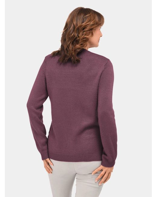 Goldner Purple Pullover