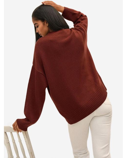Hiccup Brown Pullover