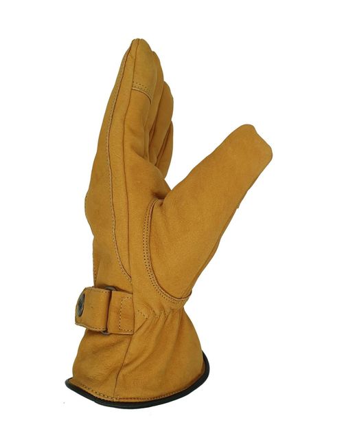 Glow Hamburg Fingerhandschuhe Fw02-06Xx-1 in Yellow für Herren
