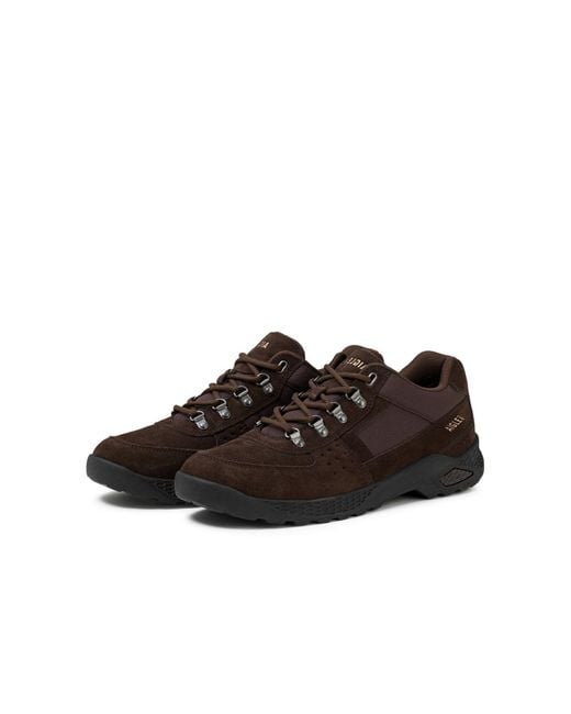 Aigle Sneaker Dolik in Brown für Herren