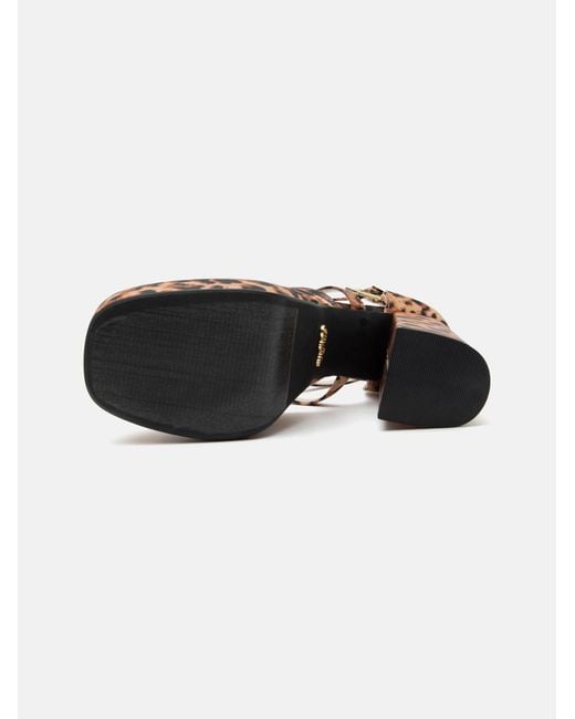 Buffalo Brown Pumps