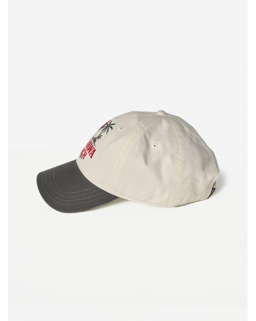 Koröshi Black Cap