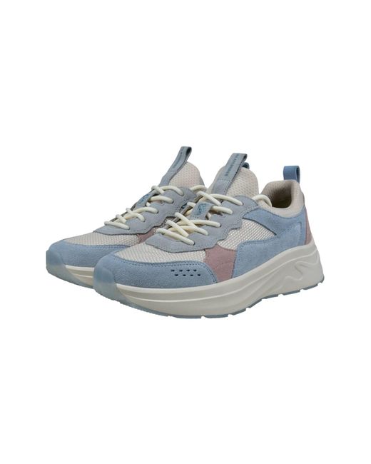 Salamander Blue Sneaker