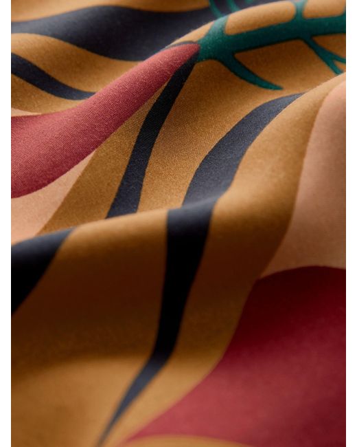 Next Multicolor Hose
