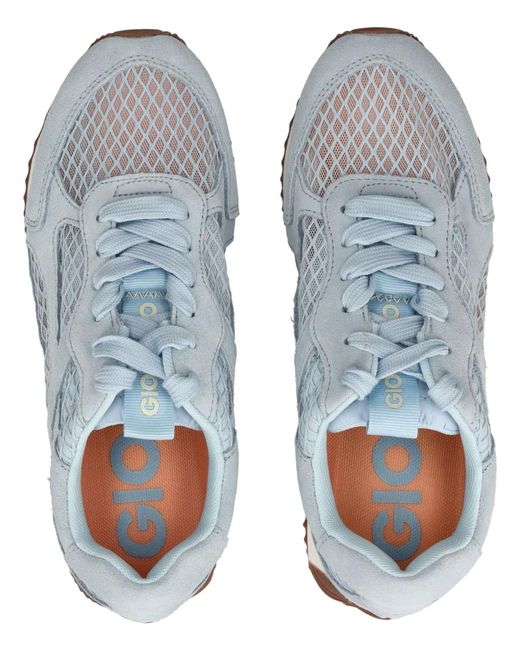 Gioseppo Blue Sneaker