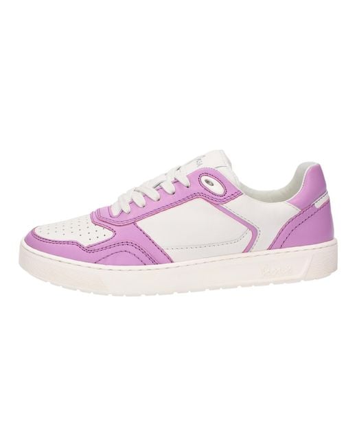 Sioux Pink Sneaker Tedroso
