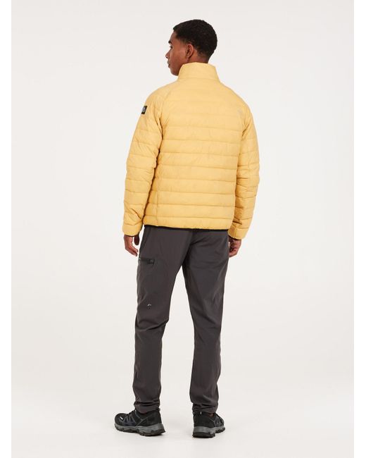 Protest Winterjacke Prtshaffer in Natural für Herren