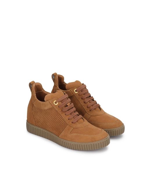 Kazar Brown Sneaker