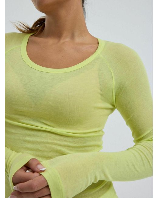 Seamless Basic Green Top Cotton