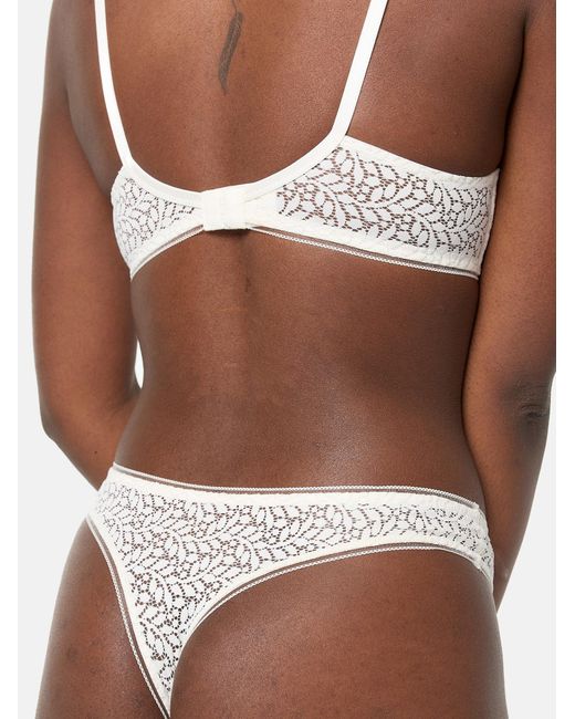Dim Gray String