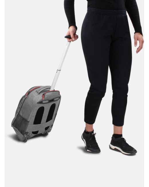 normani Rucksack in Gray für Herren