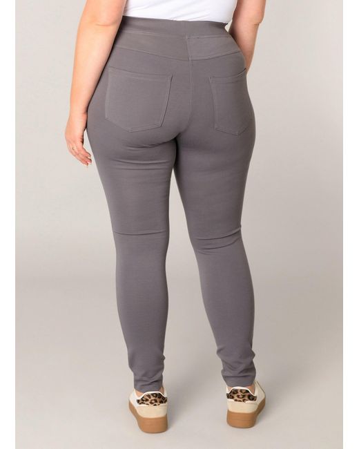 Base Level Curvy Gray Leggings Arnika