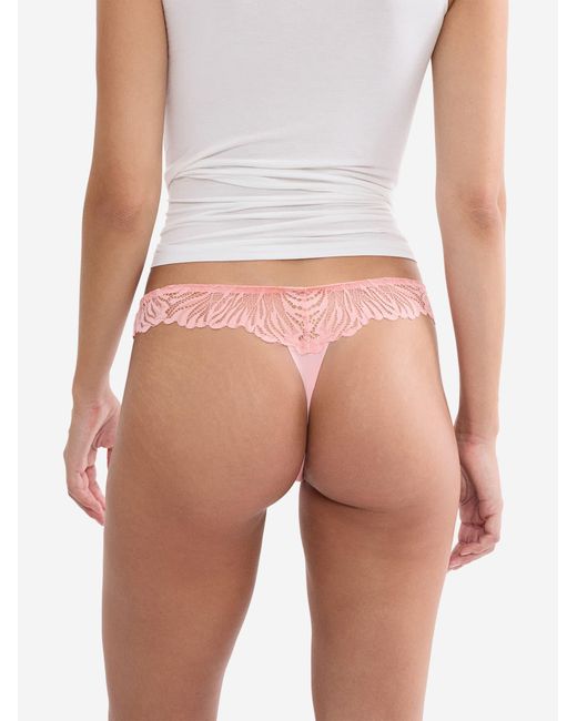 Triumph Pink String Label Pretty Micro